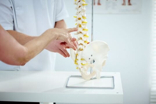 Timepris kiropraktor