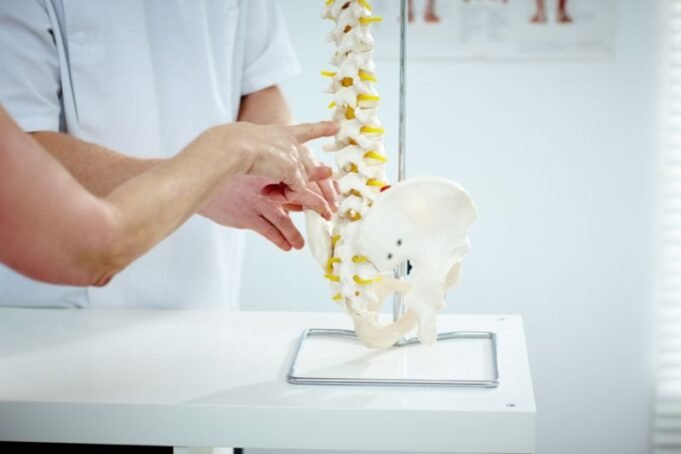 Timepris kiropraktor